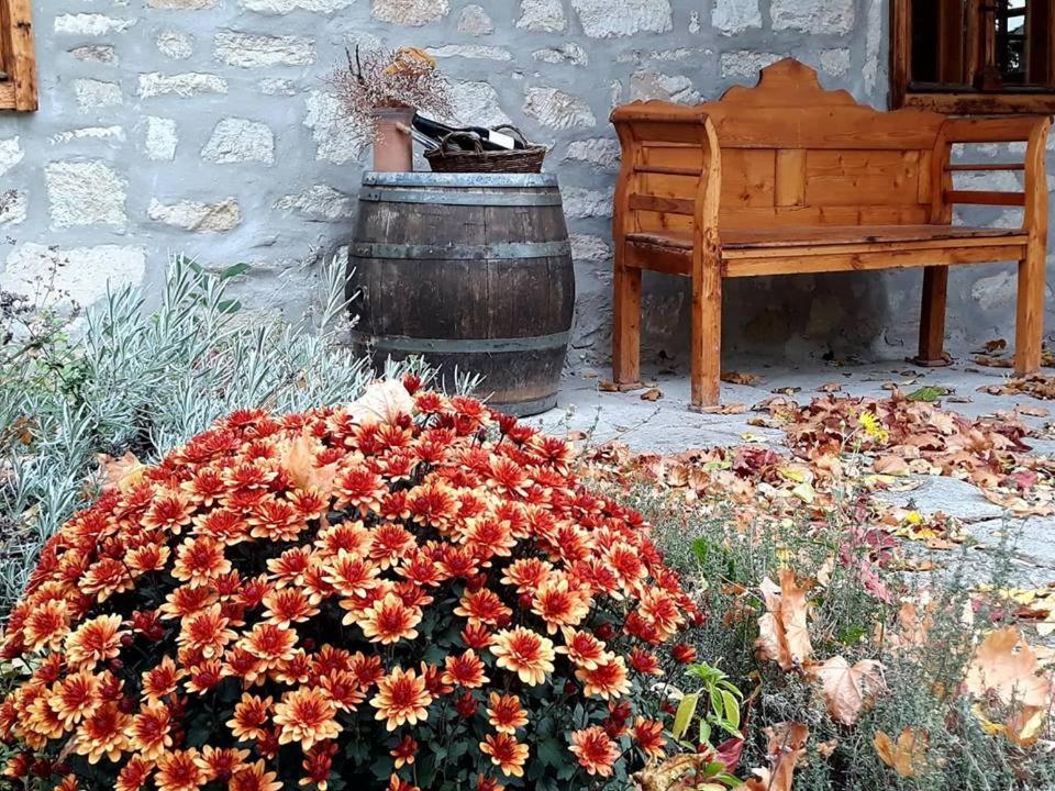 Karádi-Berger Vendégház Erdőbénye Esterno foto