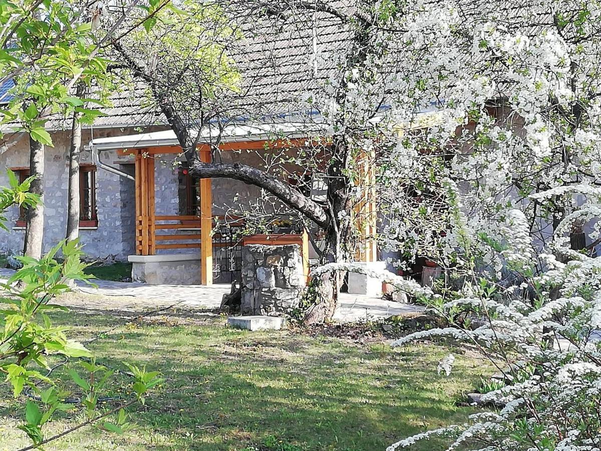 Karádi-Berger Vendégház Erdőbénye Esterno foto
