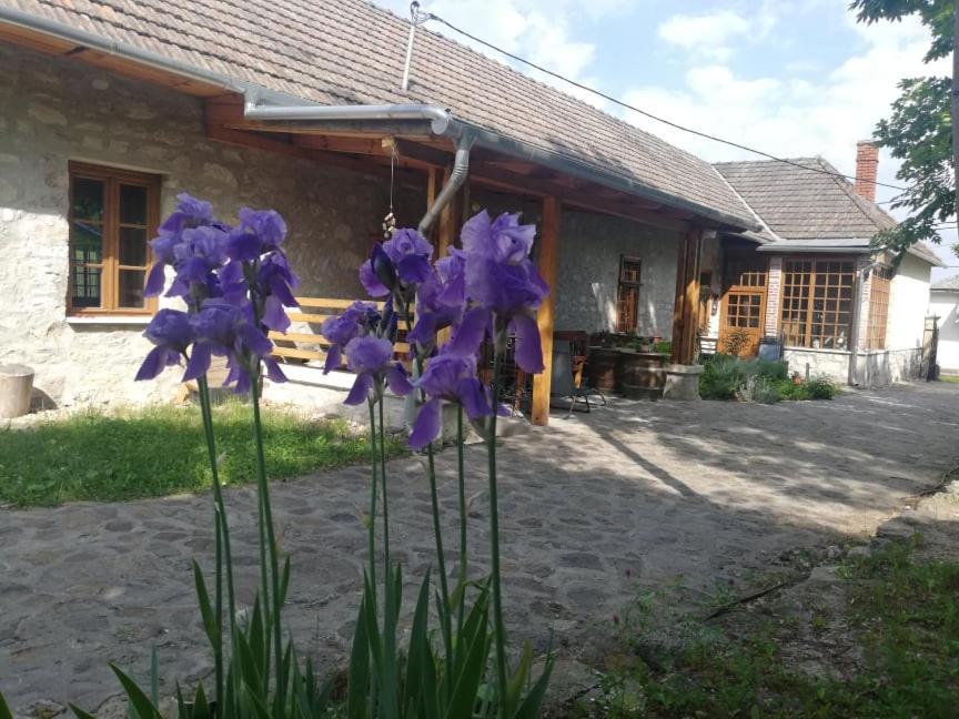 Karádi-Berger Vendégház Erdőbénye Esterno foto