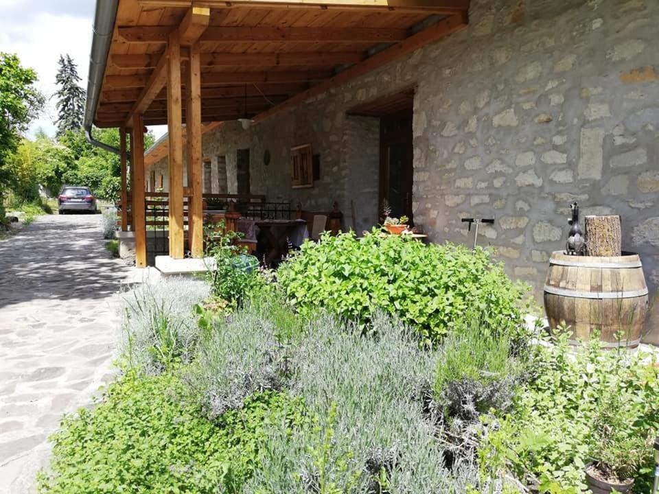 Karádi-Berger Vendégház Erdőbénye Esterno foto